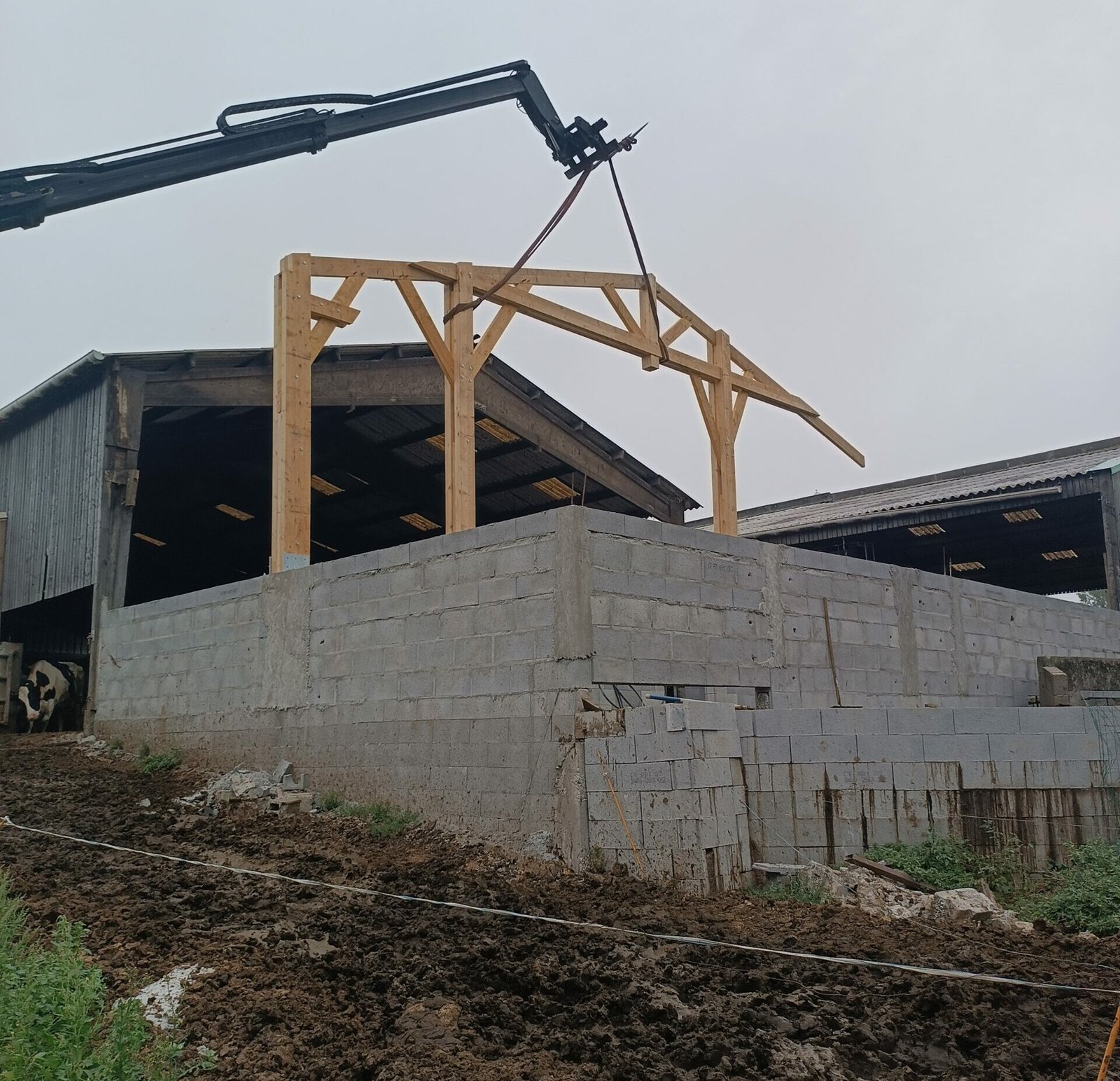 Extension charpente Muzillac